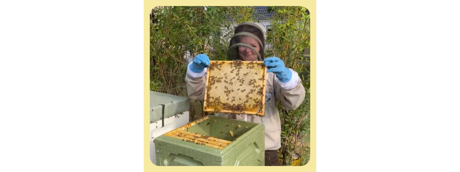 En bi-sson - den fascinerende cyklus af biernes arbejde. 🐝