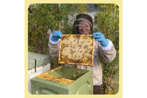 En bi-sson - den fascinerende cyklus af biernes arbejde. 🐝