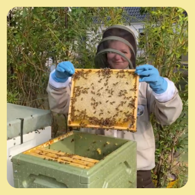 En bi-sson - den fascinerende cyklus af biernes arbejde. 🐝