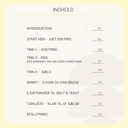 PRISS�T &amp; S�LG - En praktisk guide til iv�rks�ttere, der vil v�lge en pris og st� ved den.