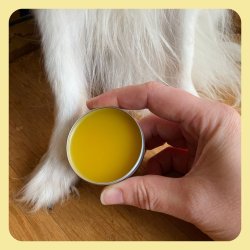 Balsam Til Hundepoter I 30ml eller 80ml